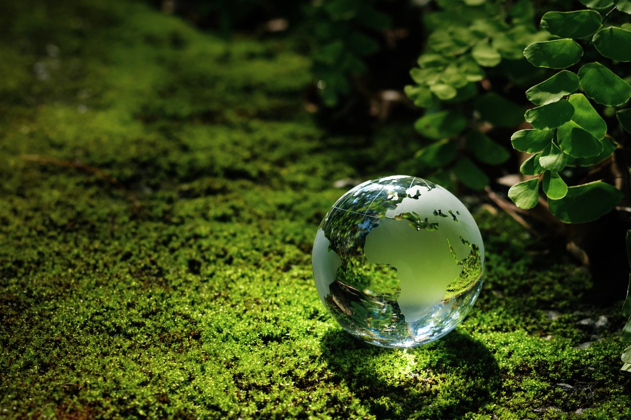 The crystal globe orb rests on the moss in the forest. There was sunlight shining through the branches down to the globe. beautiful green sustainable environment concept